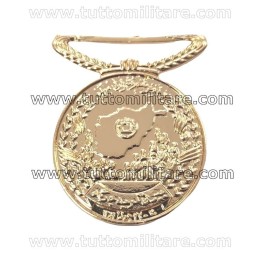 Medaglia Loya Jirga Afghanistan