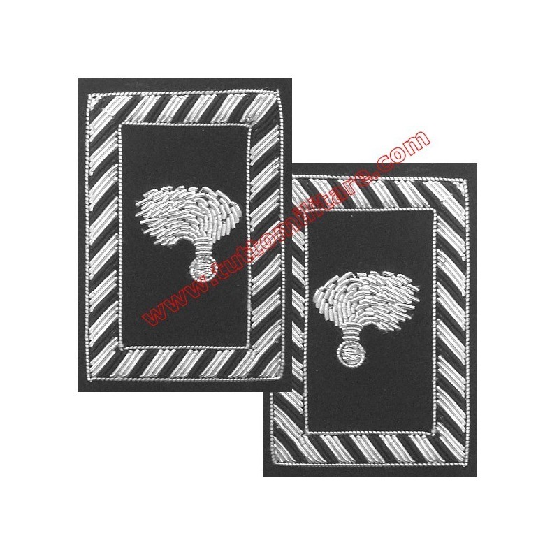 Travette Gala Carabinieri Appuntato e Brigadieri