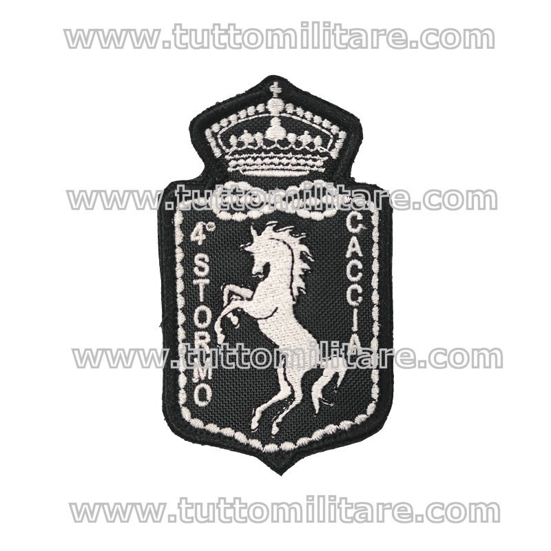 Patch 4° Stormo Caccia
