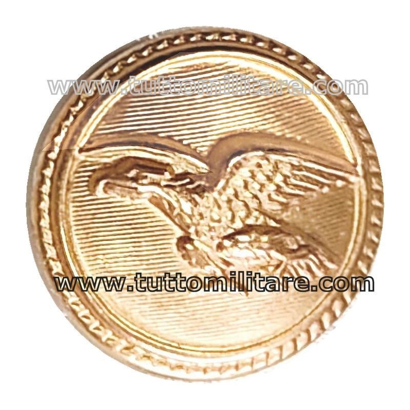 Bottoni Metallo dorato da Giacca Aeronautica