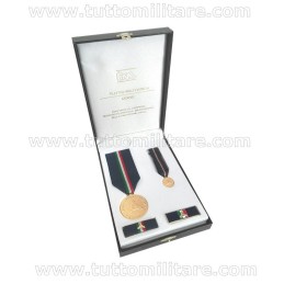 Kit Benemerenza Oro Protezione Civile III Conferimento 1 Livello Dettaglio Interno