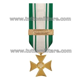 Dettaglio Croce di Anzianità ed Eccellenza 1^ Classe 50 Anni Croce Rossa