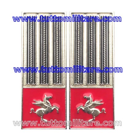 Mostrine Polizia Locale Toscana