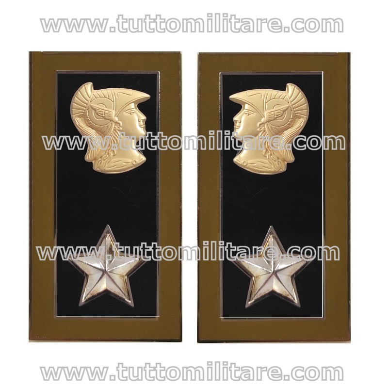 Mostrine Corpo Ingegneri Armamento