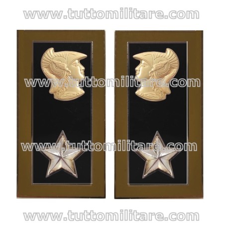 Mostrine Corpo Ingegneri Armamento