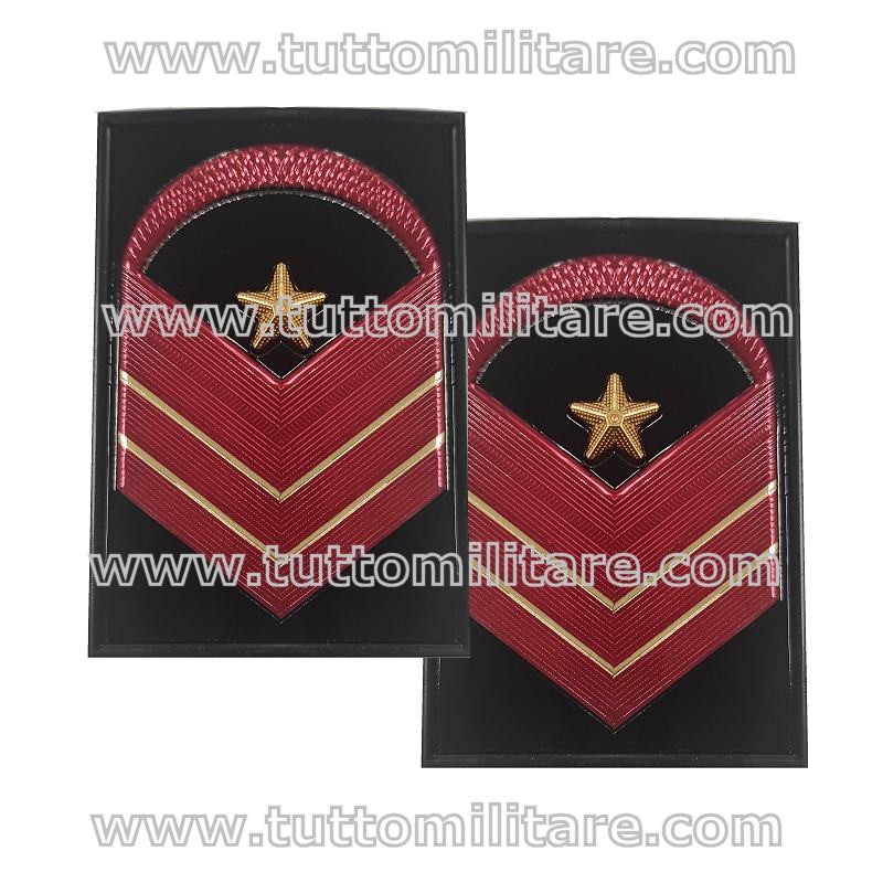 Gradi Metallo Graduato Aiutante Esercito