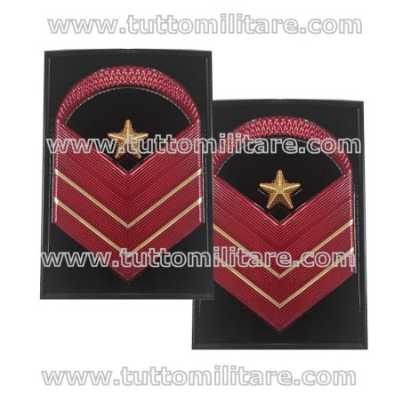 Gradi Metallo Graduato Aiutante Esercito