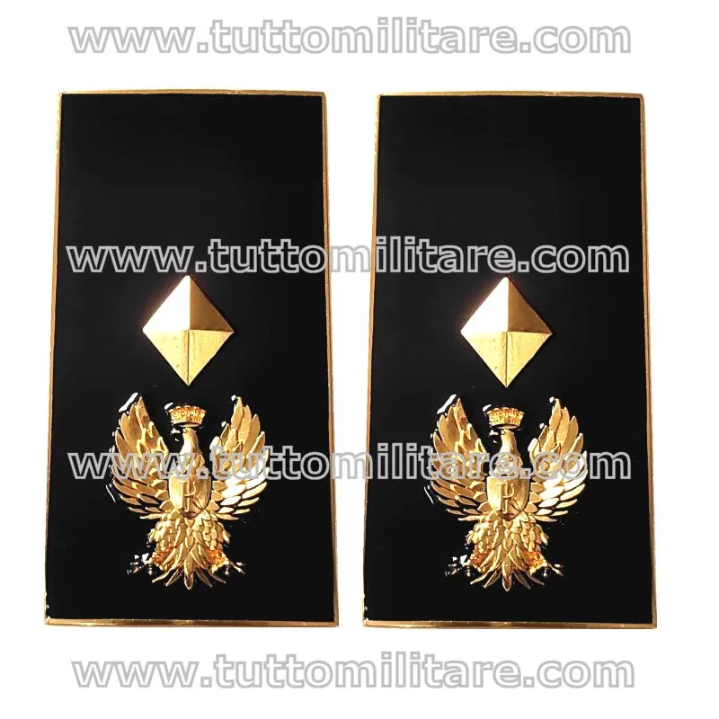 Gradi Metallo Vice Sovrintendente Polizia di Stato