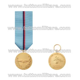 Medaglia d'Oro al Merito Lunga Attività di Volo Personale Specialista Carabinieri