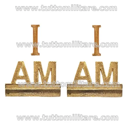 Distintivi Gradi Metallo Allievo Maresciallo 1° Anno