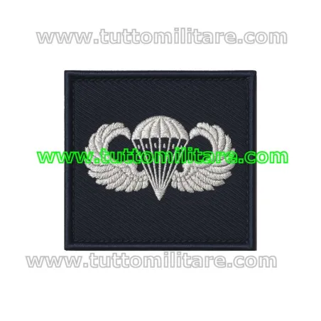 Patch Parà civile USA su fondo blu