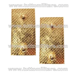 Attacco Posteriore Con Viti Gradi Metallo Ispettore PS