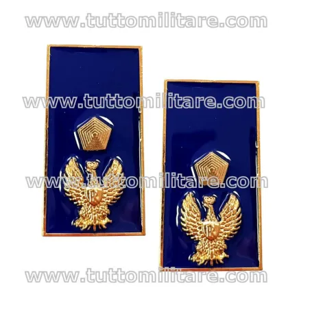 Gradi Metallo Polizia di Stato Vice Ispettore