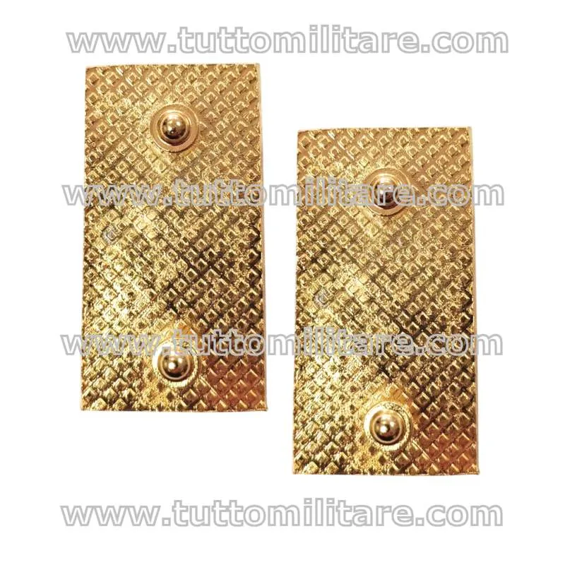 Attacco Posteriore Gradi Metallo Polizia di Stato