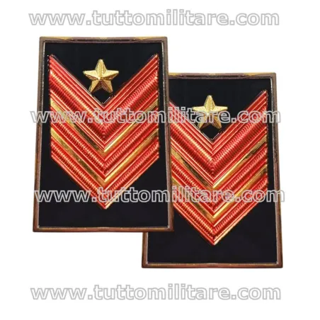 Gradi Metallo Appuntato Scelto Qualifica Speciale Carabinieri