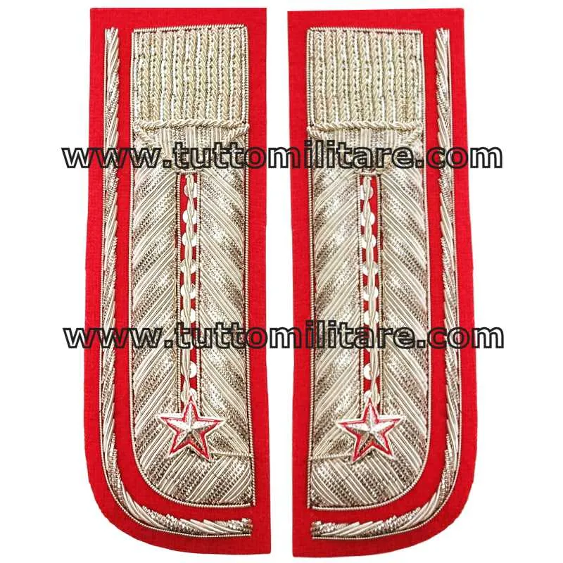Alamari Luogtenente Carabinieri Ricamati in Canutiglia Argento su Rosso
