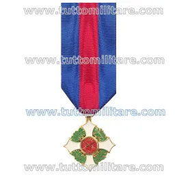 Dettaglio Croce Cavaliere Ordine Militare d'Italia