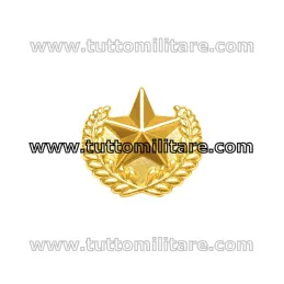 Stellina Militare Oro per Nastrini a 5 Punte con Fronde