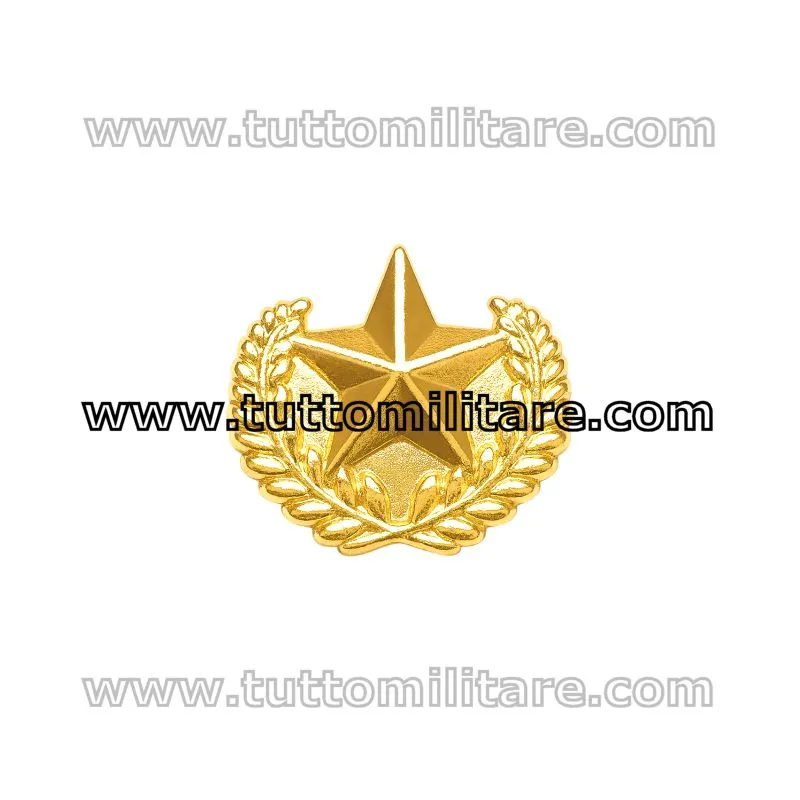 Stellina Militare Oro per Nastrini a 5 Punte con Fronde