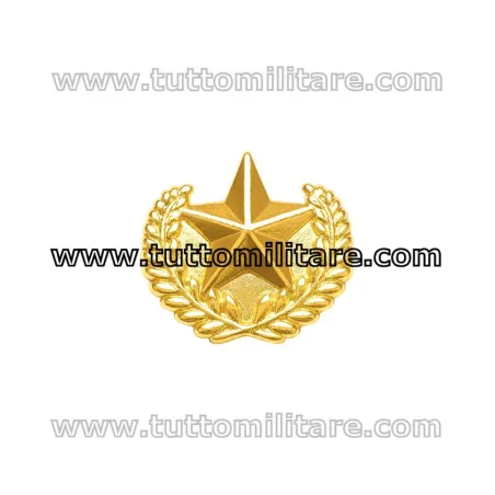 Stellina Militare Oro per Nastrini a 5 Punte con Fronde