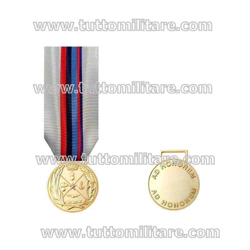 Medaglia d'Onore Interforze Stato Maggiore Difesa