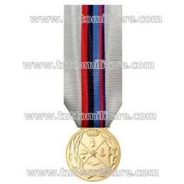 Decorazione Onorifica S.M.D. Stato Maggiore Difesa