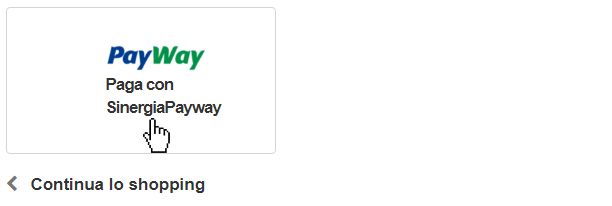 Pay Securely with Your Credit Card