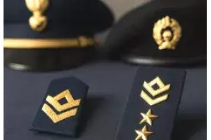 Army Metal Badges & Pins: A Collector's Guide