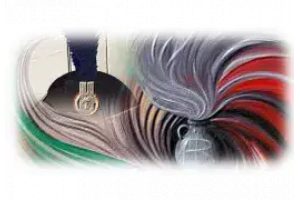 Italian Military Insignia: Origins and Meanings
